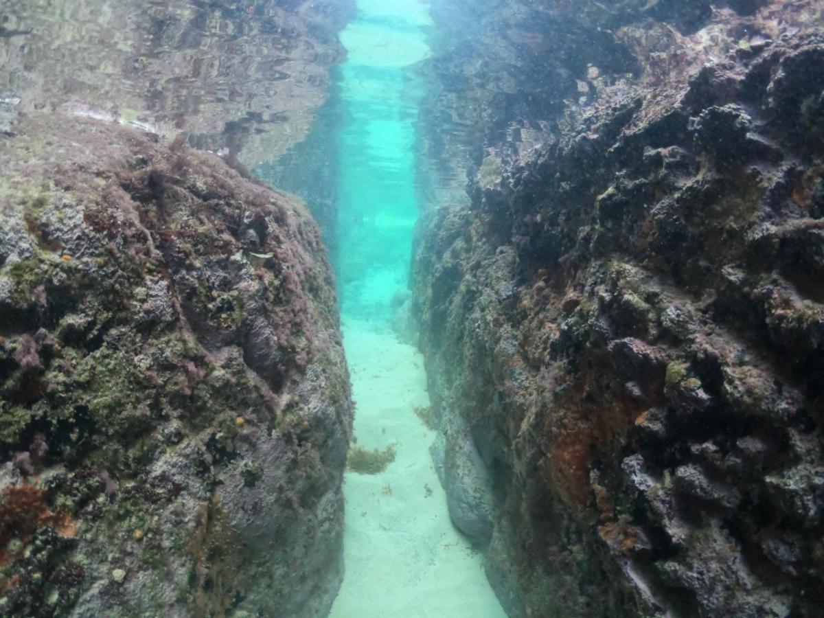 Pousada Flor Do Atlantico Φερνάντο ντε Νορόνια Εξωτερικό φωτογραφία
